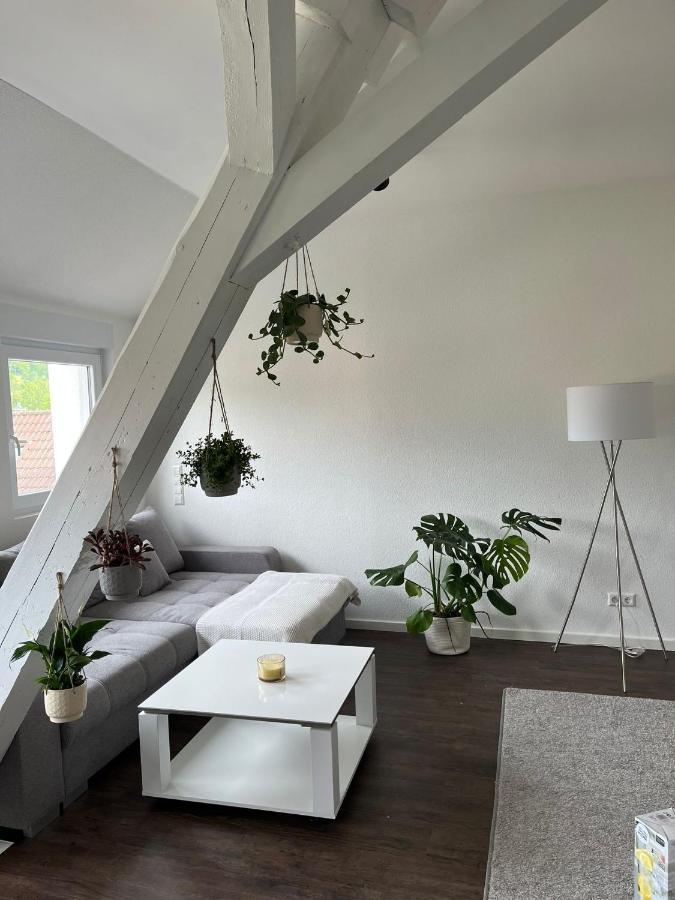 Stauffenberg Apartments Албщат Екстериор снимка