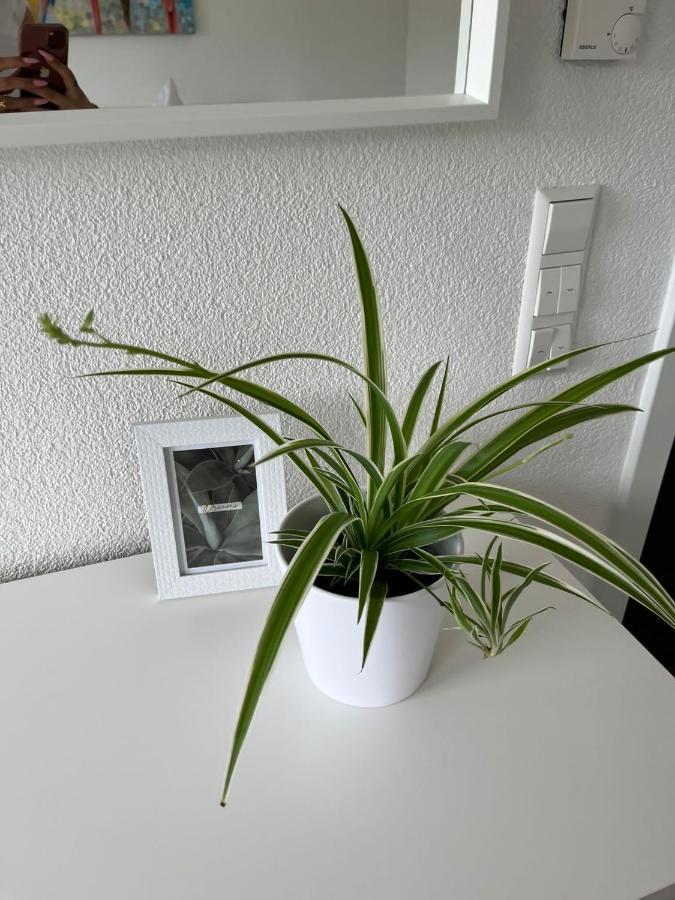 Stauffenberg Apartments Албщат Екстериор снимка